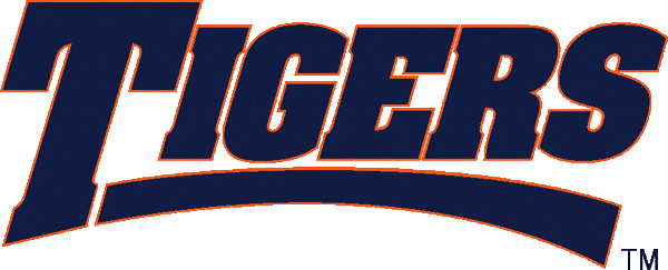 Auburn Tigers 1998-2003 Wordmark Logo diy iron on heat transfer